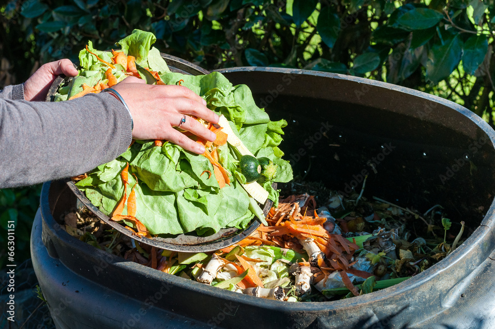 Compost 
