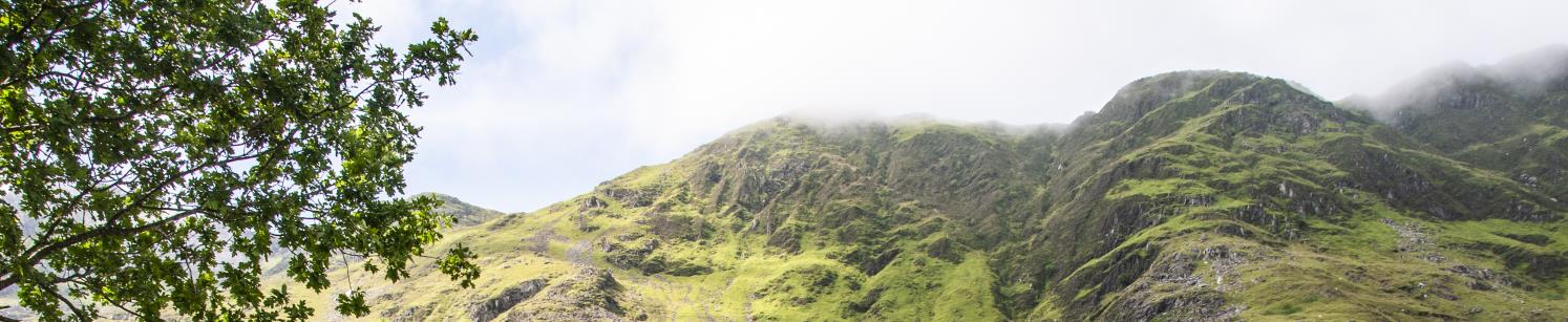Sherpa'r Wyddfa