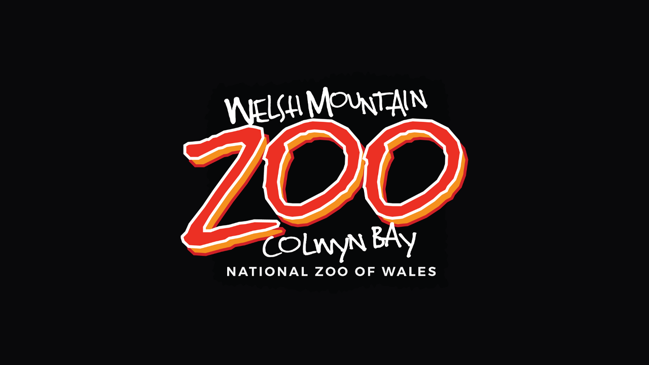 Welsh Mountain Zoo