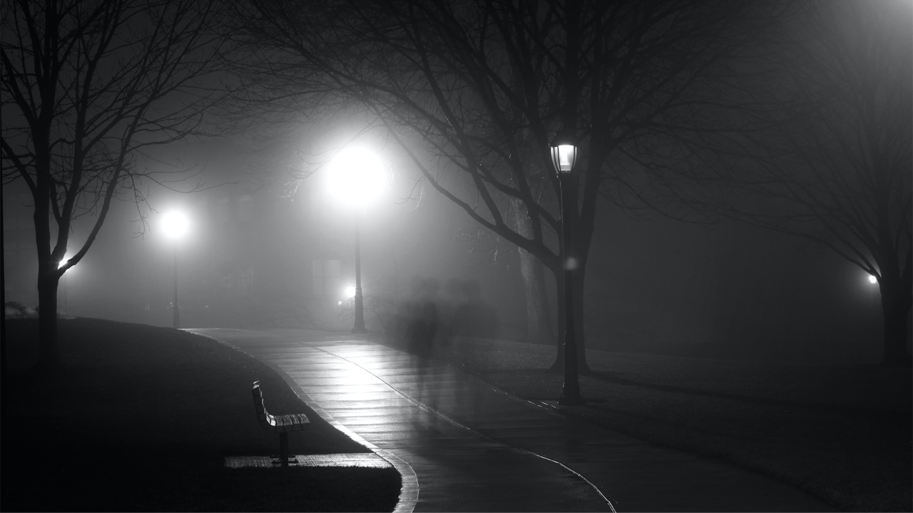 Foggy walk through the park