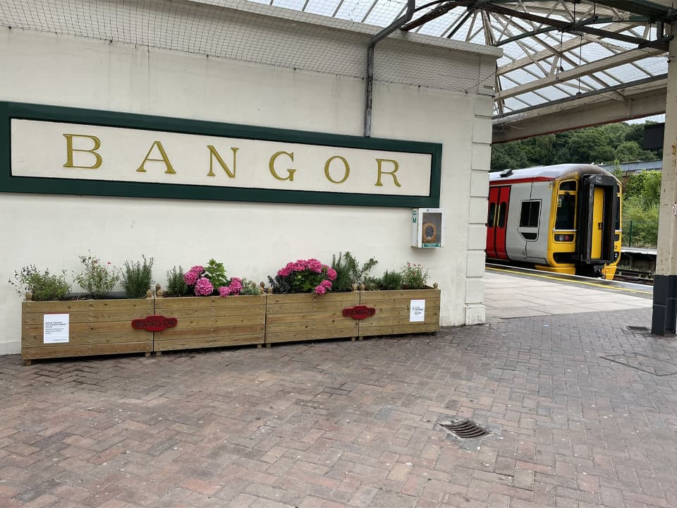 Bangor After 2